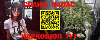 трава Апшеронск