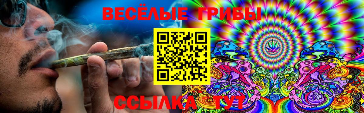 Кизляр  купить наркотик  Вход с VPN  Галлюциногенные грибы мицелий 