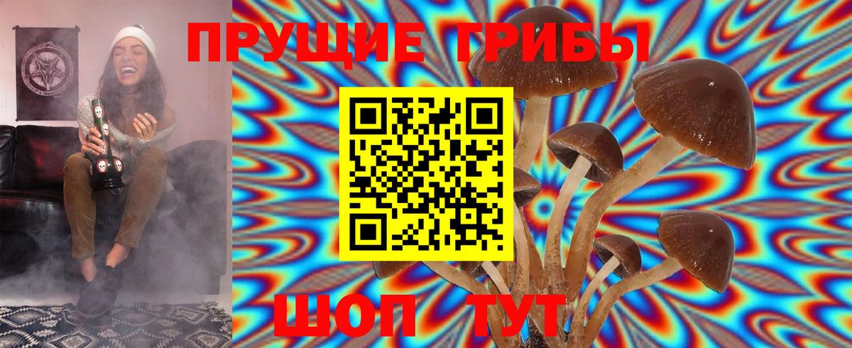 Псилоцибиновые грибы Magic Shrooms  Кизляр 